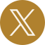 X (Twitter)